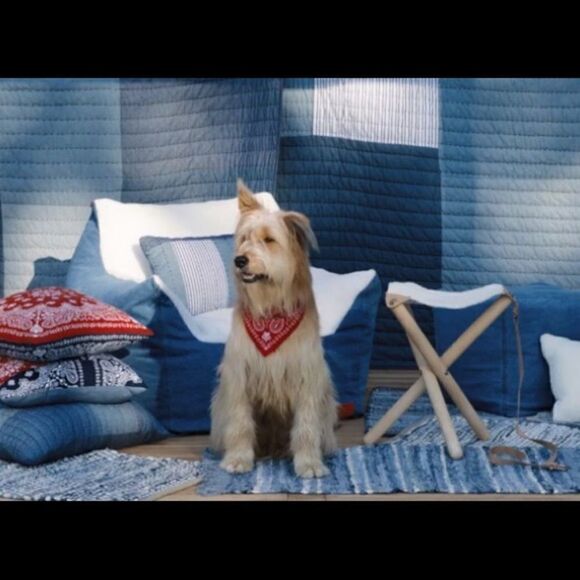 (5/$25) Levi’s for Target Red Pet Bandana, NWT. - Picture 1 of 3